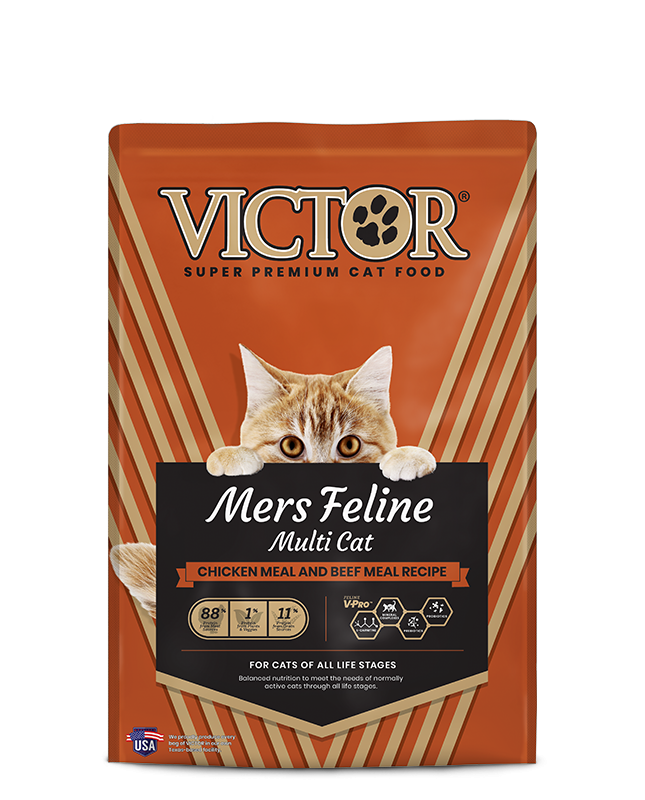 Victor Mers Classic Feline All Life Stages